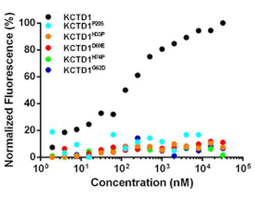 昆明供卵代生女孩年龄与集体户宝宝上户指南，出*证是关键