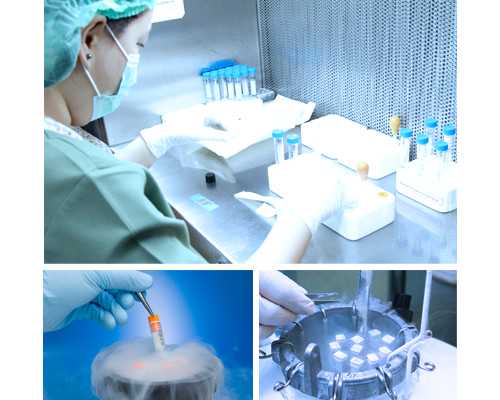 昆明供卵代怀流程解析：试管医院生男孩可能性与代生服务