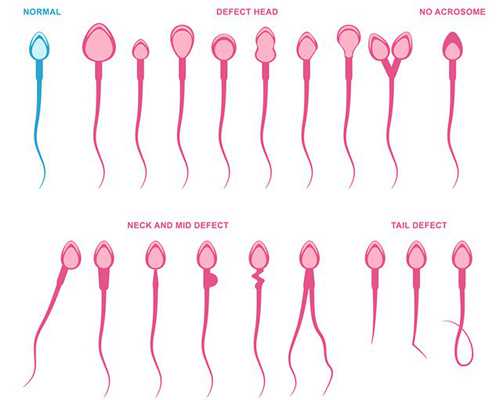 昆明代孕费用与云大试管婴儿价格解析