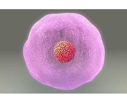 哪家医院试管技术强？成功率高医院推荐