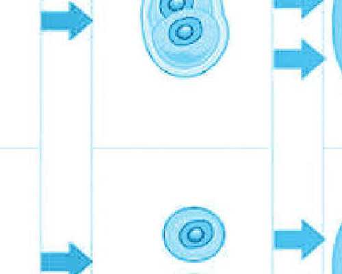 昆明供卵试管移植着床时间解析与高龄助孕指南
