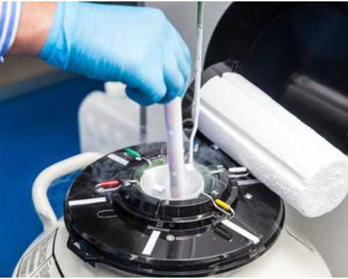 求男胎试管手术价格解析与费用指南