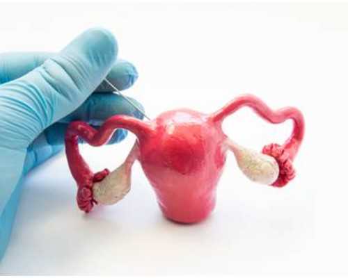 昆明代怀费用解析：医科大学第二附属医院与高成功率机构推荐