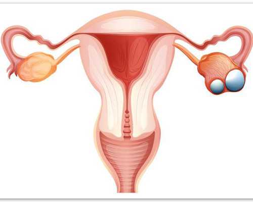 高成功率供卵试管助孕与私立生殖医院选择指南