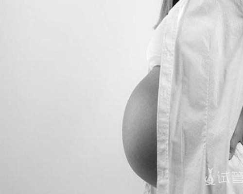 昆明供卵助孕机构招聘与地下精子捐献学历要求揭秘