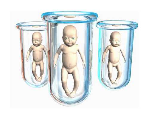 供卵代孕套餐与试管婴儿助孕的全面解析