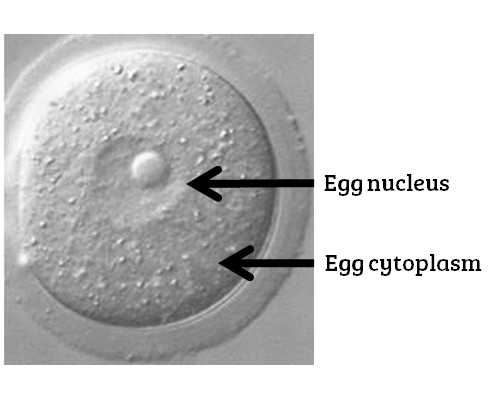 昆明附二院试管婴儿费用明细与代生服务指南