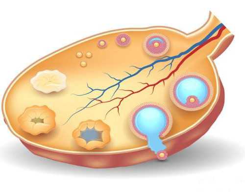 昆明爱心借卵中心与精子库服务指南：专业助孕选择