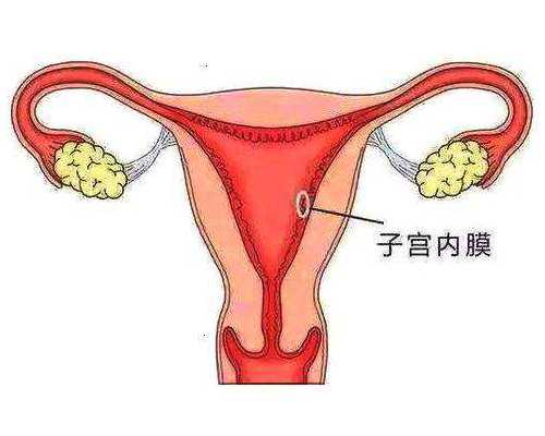 三代试管羊穿与供卵试管费用解析