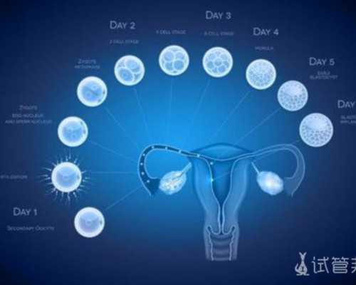 助孕生子方式与注意事项全解析